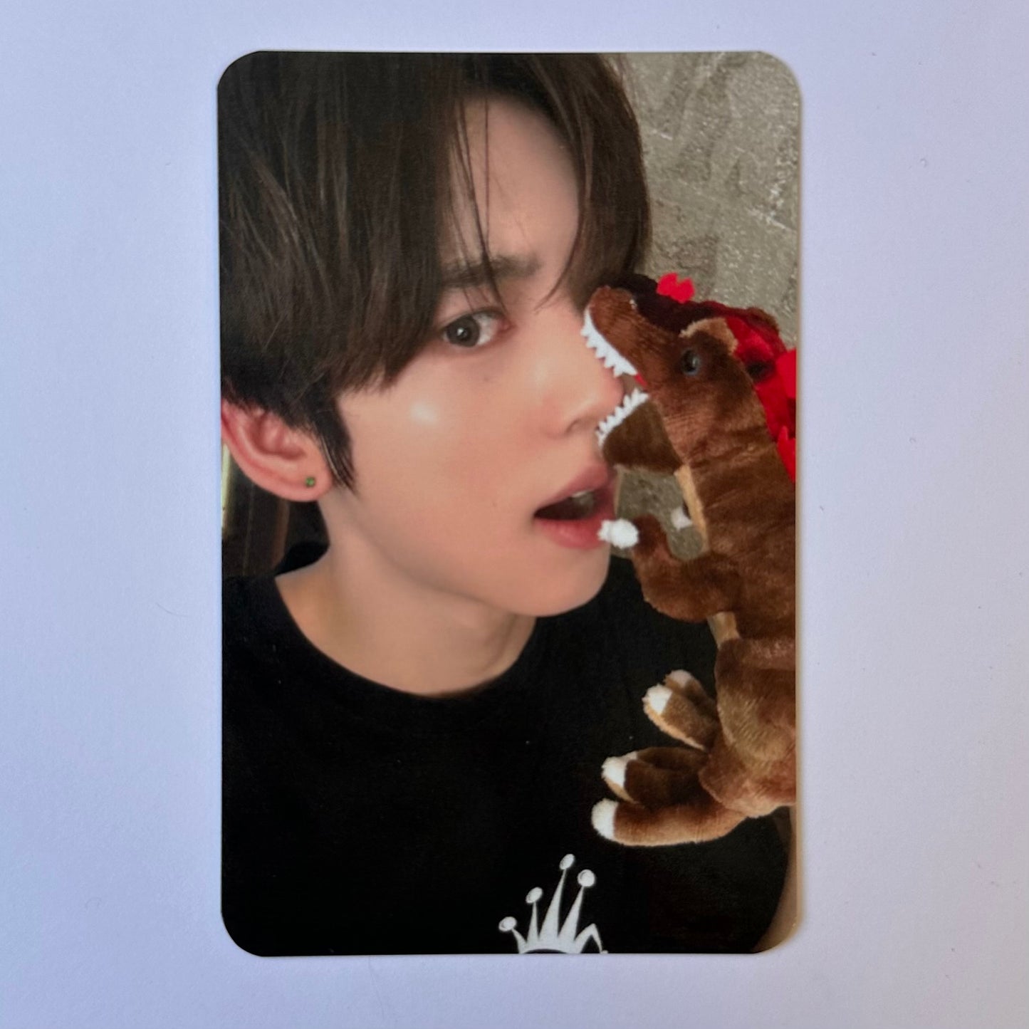ZEROBASEONE - NEVER SAY NEVER (Photobook Ver.) Soundwave Photocards