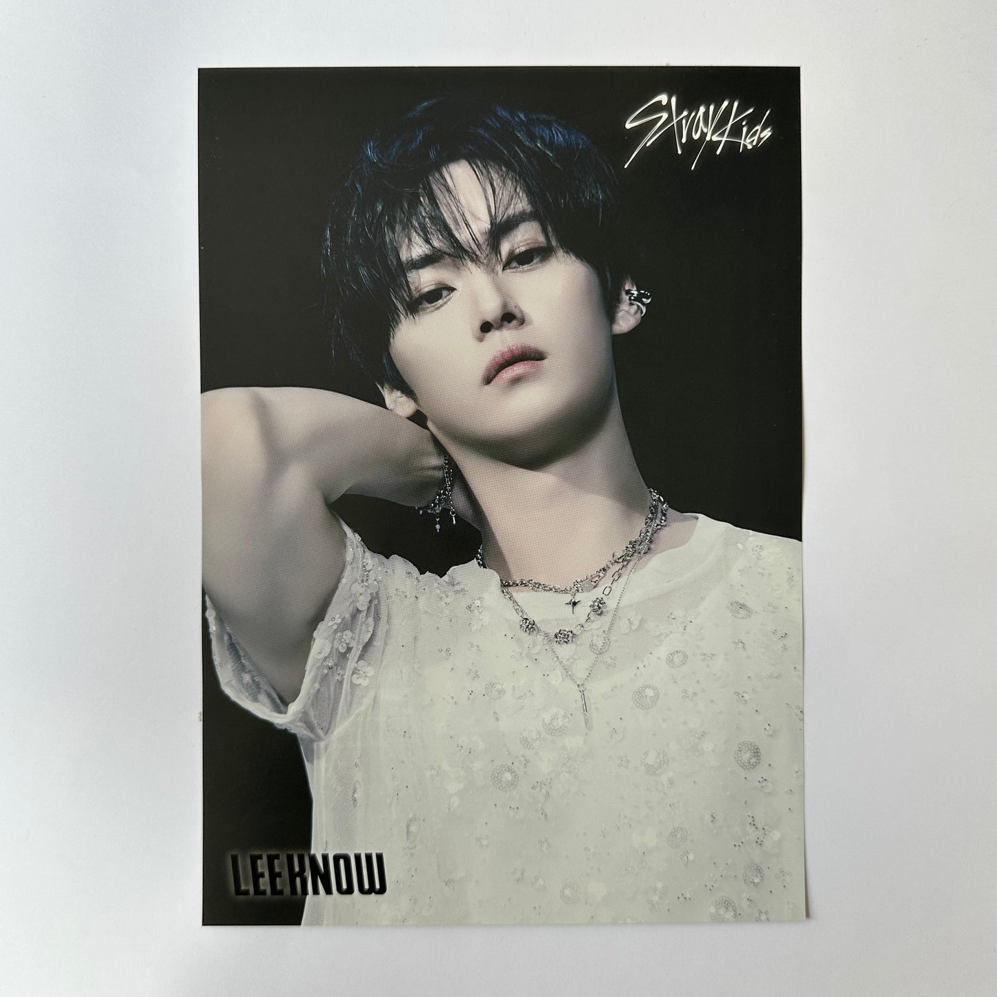 Stray Kids - GIANT Mini Poster