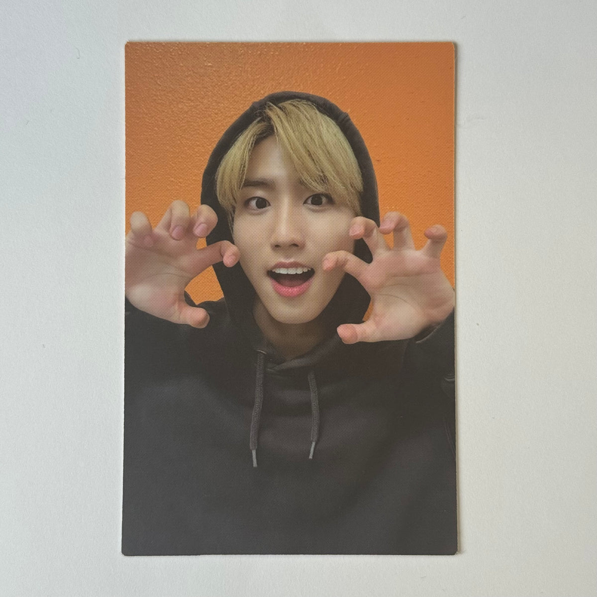 Stray Kids - Official Album Photocards (Han)