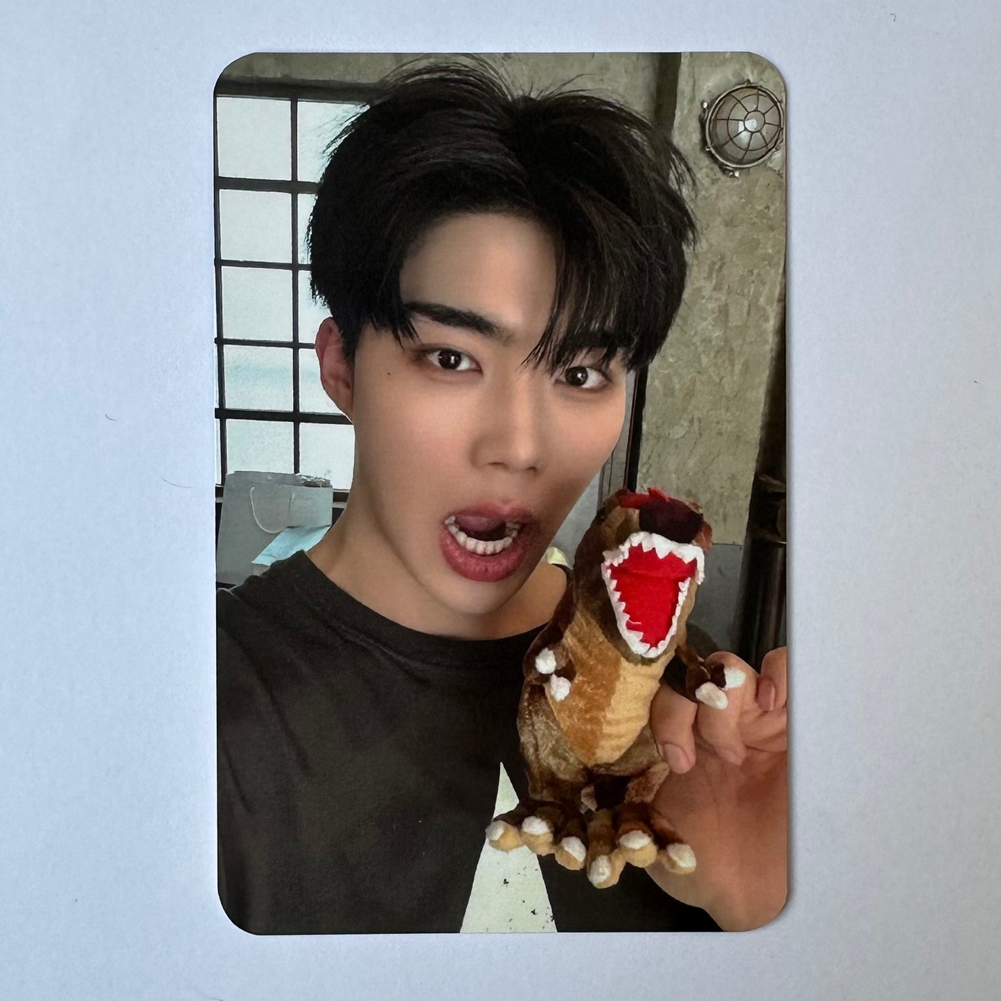 ZEROBASEONE - NEVER SAY NEVER (Photobook Ver.) Soundwave Photocards