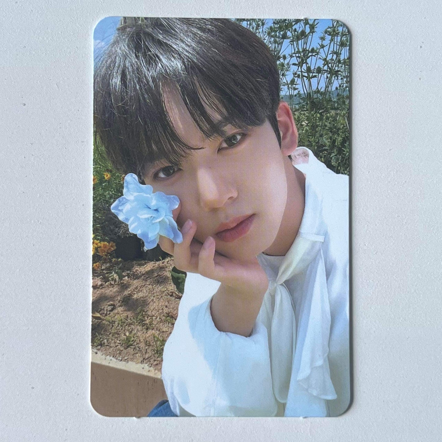 ZEROBASEONE - YOUTH IN THE SHADE Soundwave Lucky Draw Photocards