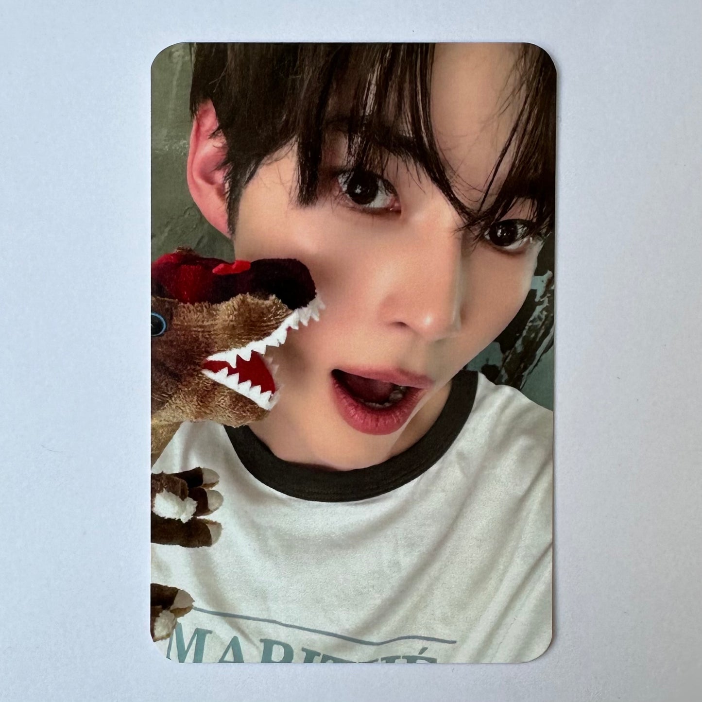 ZEROBASEONE - NEVER SAY NEVER (Photobook Ver.) Soundwave Photocards
