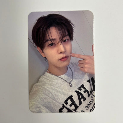 STRAY KIDS - THIS & THAT Dear My Muse Photocards