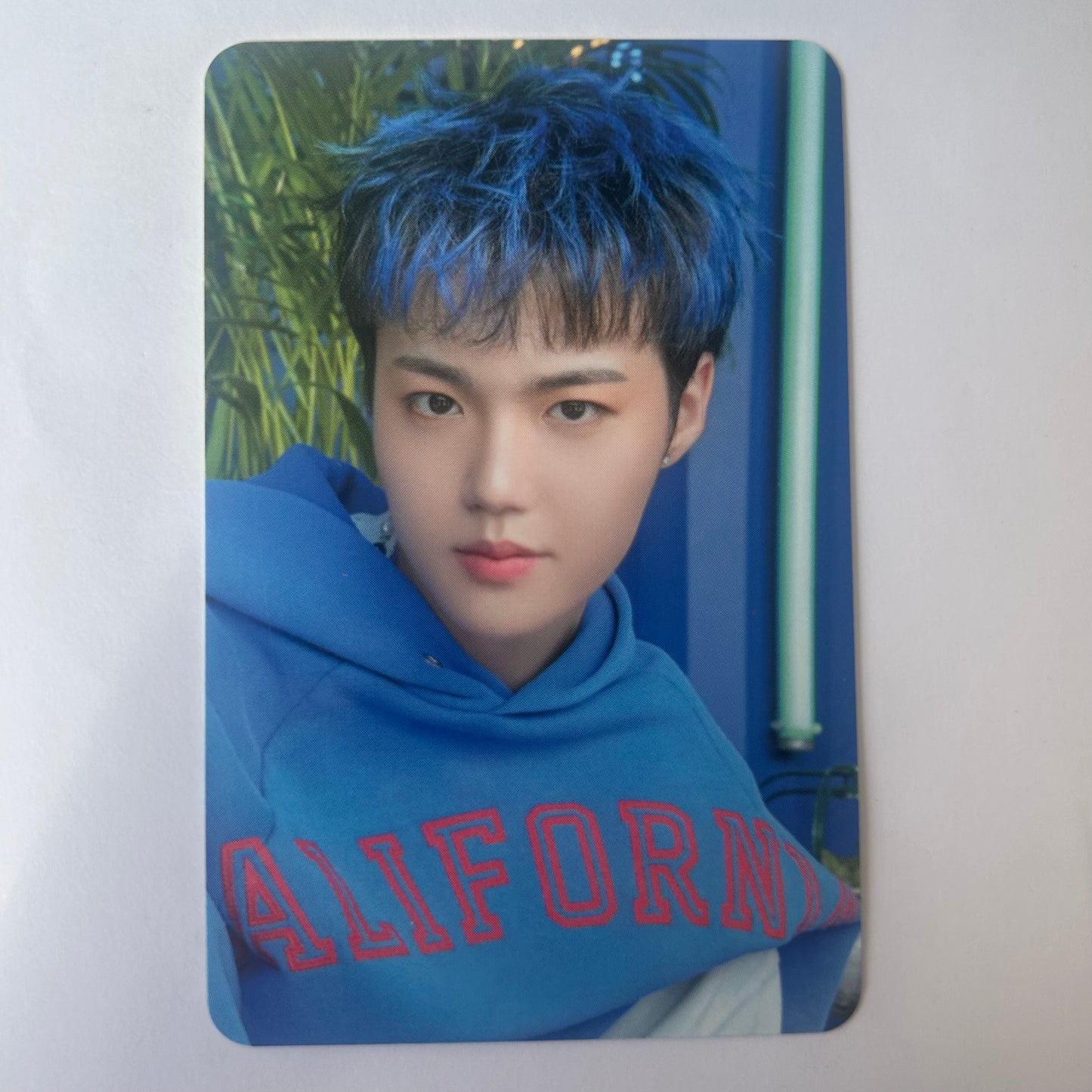 TREASURE - Hello MD Booth Trading Photocards