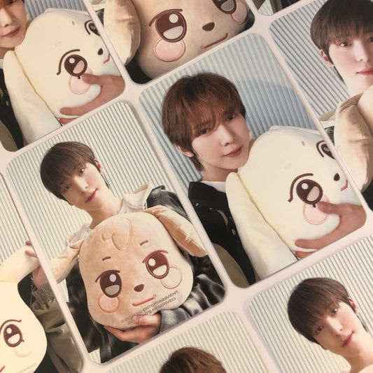 ATEEZ - ANITEEZ IN ICE CITY Plush Cushion Photocards