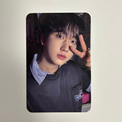 STRAY KIDS - THIS & THAT Dear My Muse Photocards