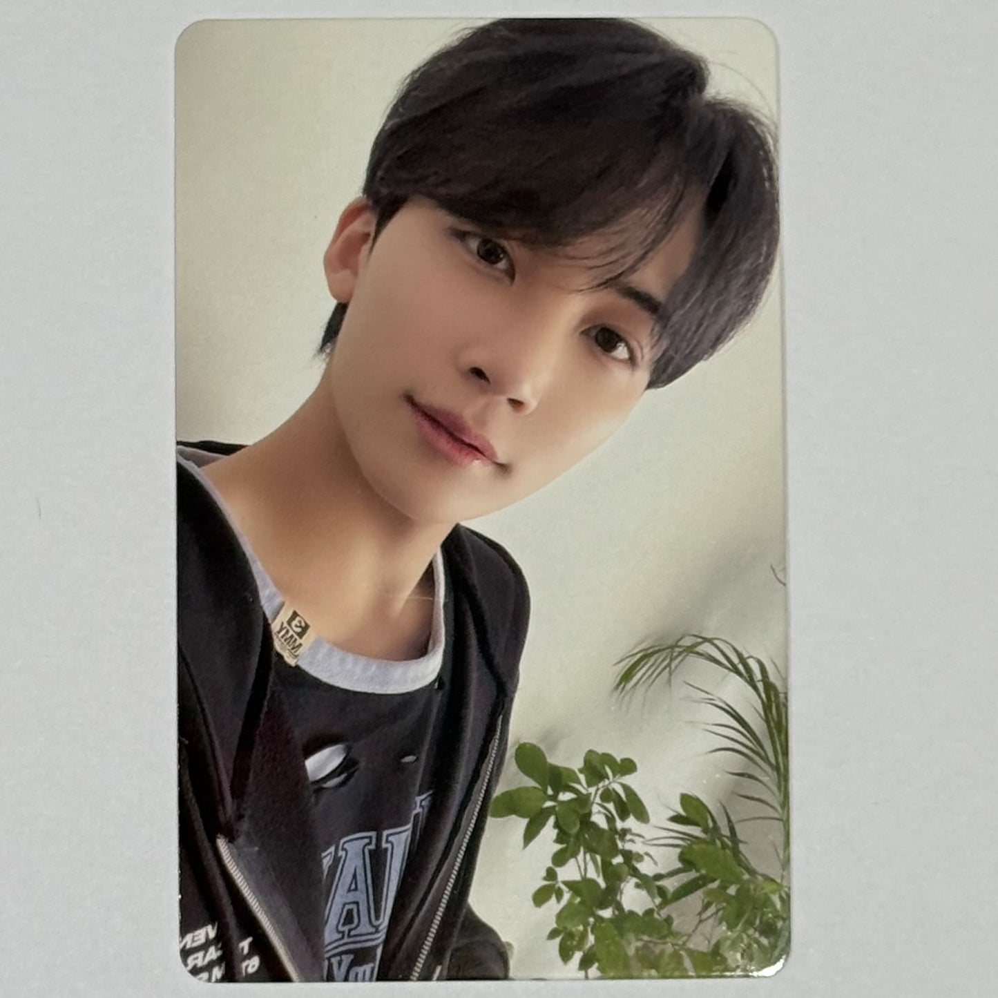 Seventeen - 2022 Carat Land Memory Book Photocards