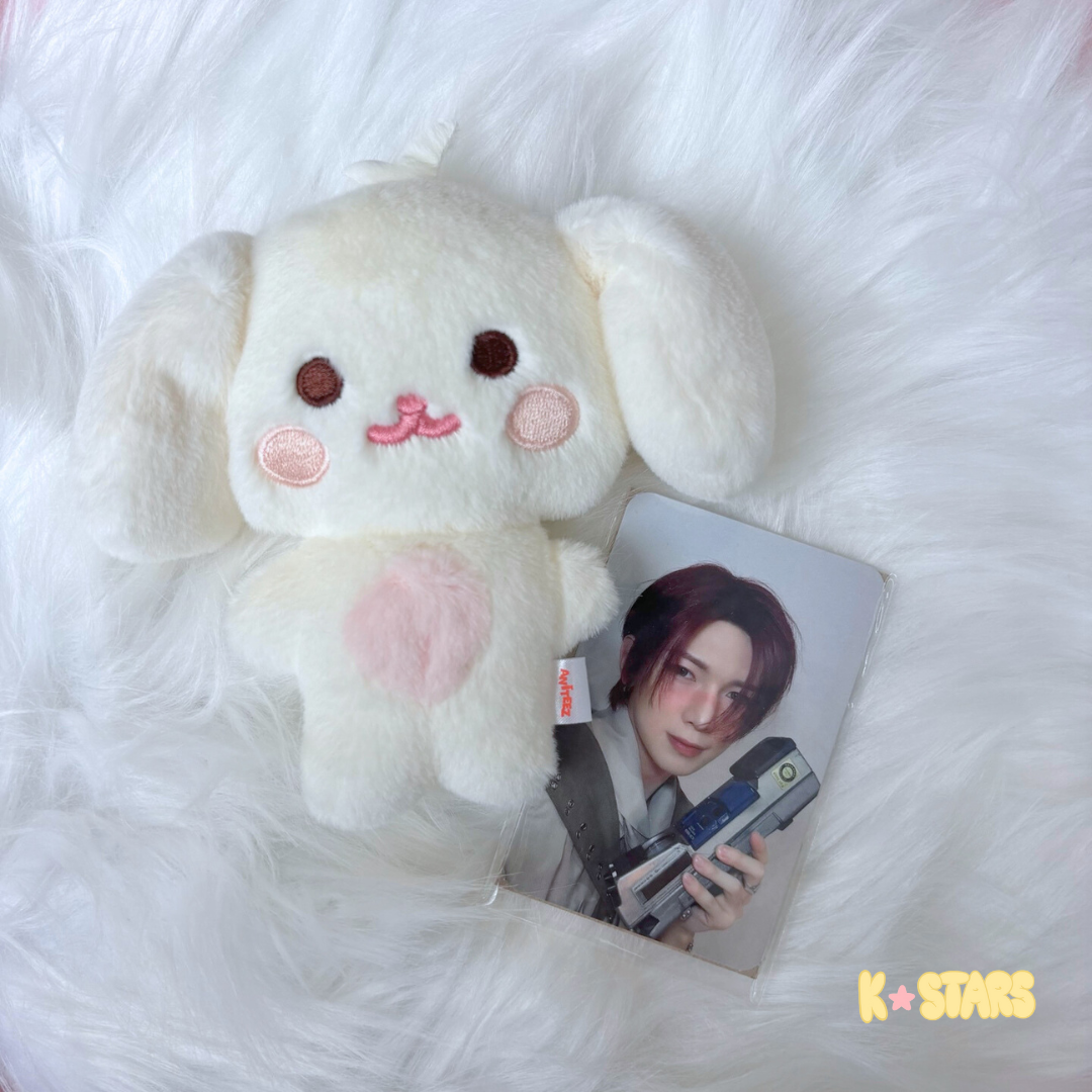 ATEEZ - ANITEEZ [IN TREASURE] Flat Fur Plush