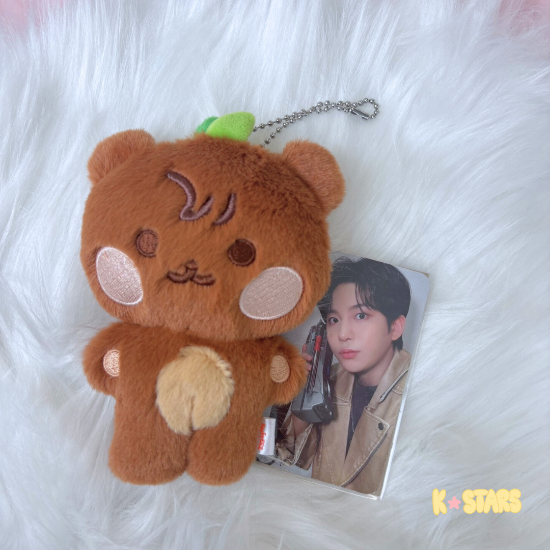 ATEEZ - ANITEEZ [IN TREASURE] Flat Fur Plush