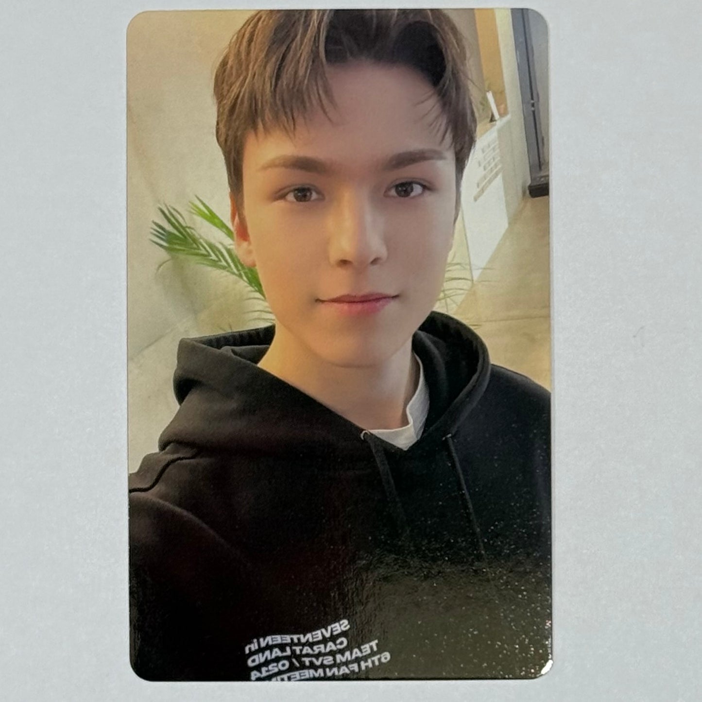 Seventeen - 2022 Carat Land Memory Book Photocards