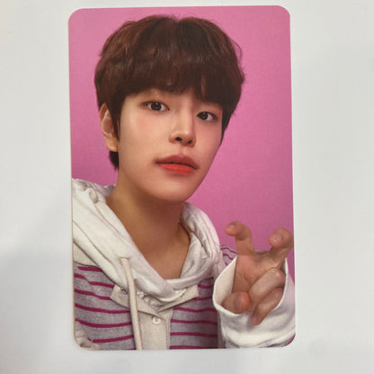 Stray Kids - Nacific Photocards