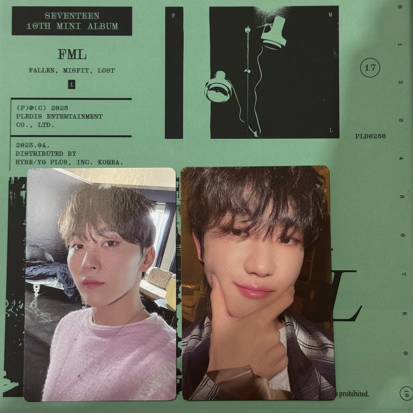 [PHOTOCARD SORTING] Seventeen - FML