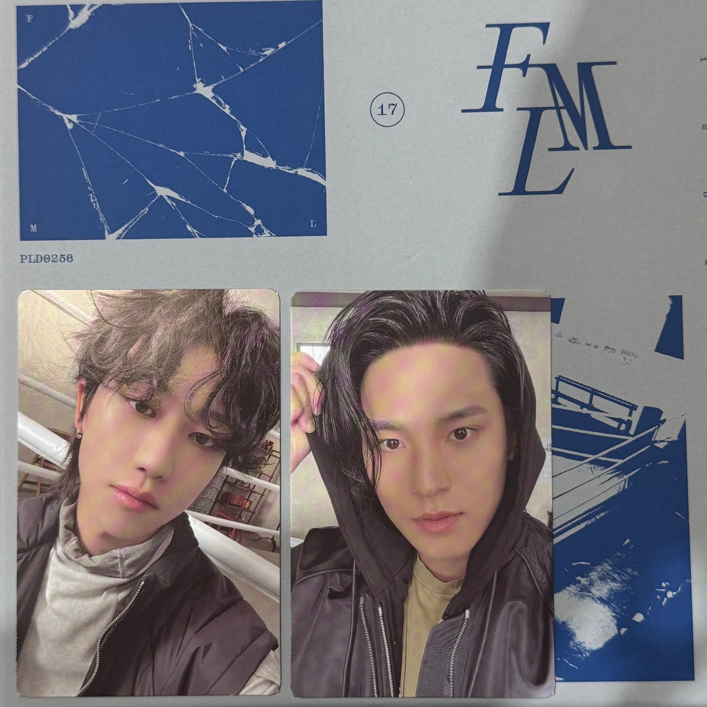 [PHOTOCARD SORTING] Seventeen - FML