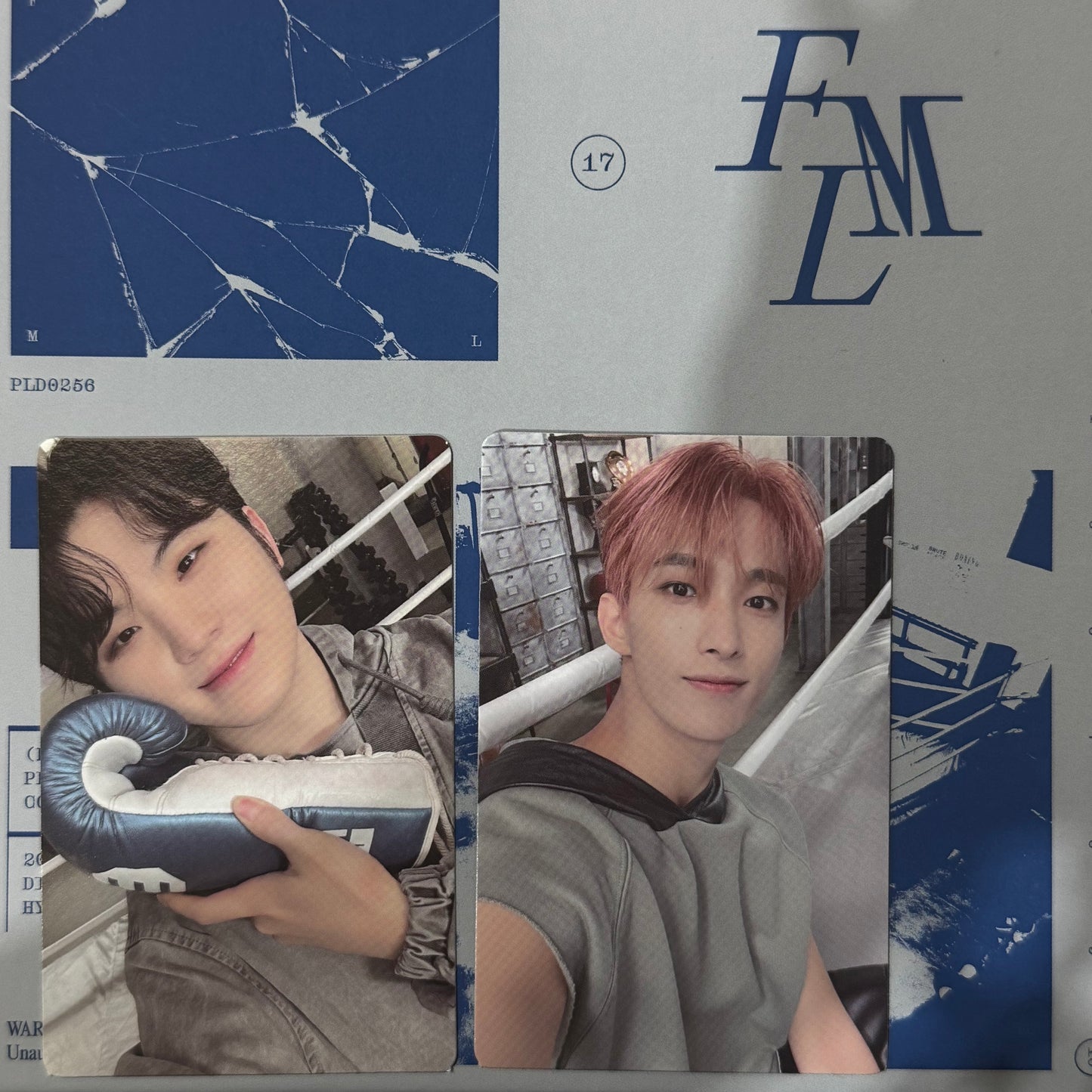 [PHOTOCARD SORTING] Seventeen - FML