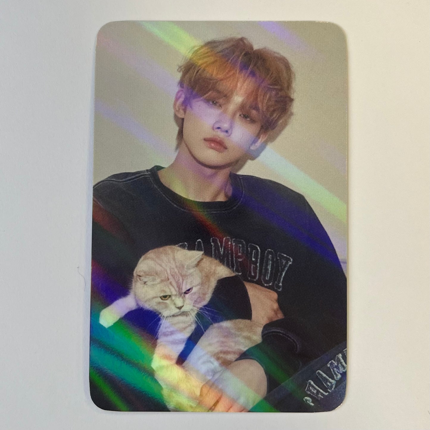 TXT - The Star Chapter: Sanctuary Makestar Holographic Photocards