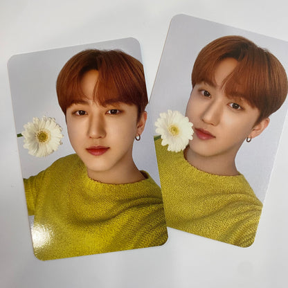 Stray Kids - Nacific Photocards