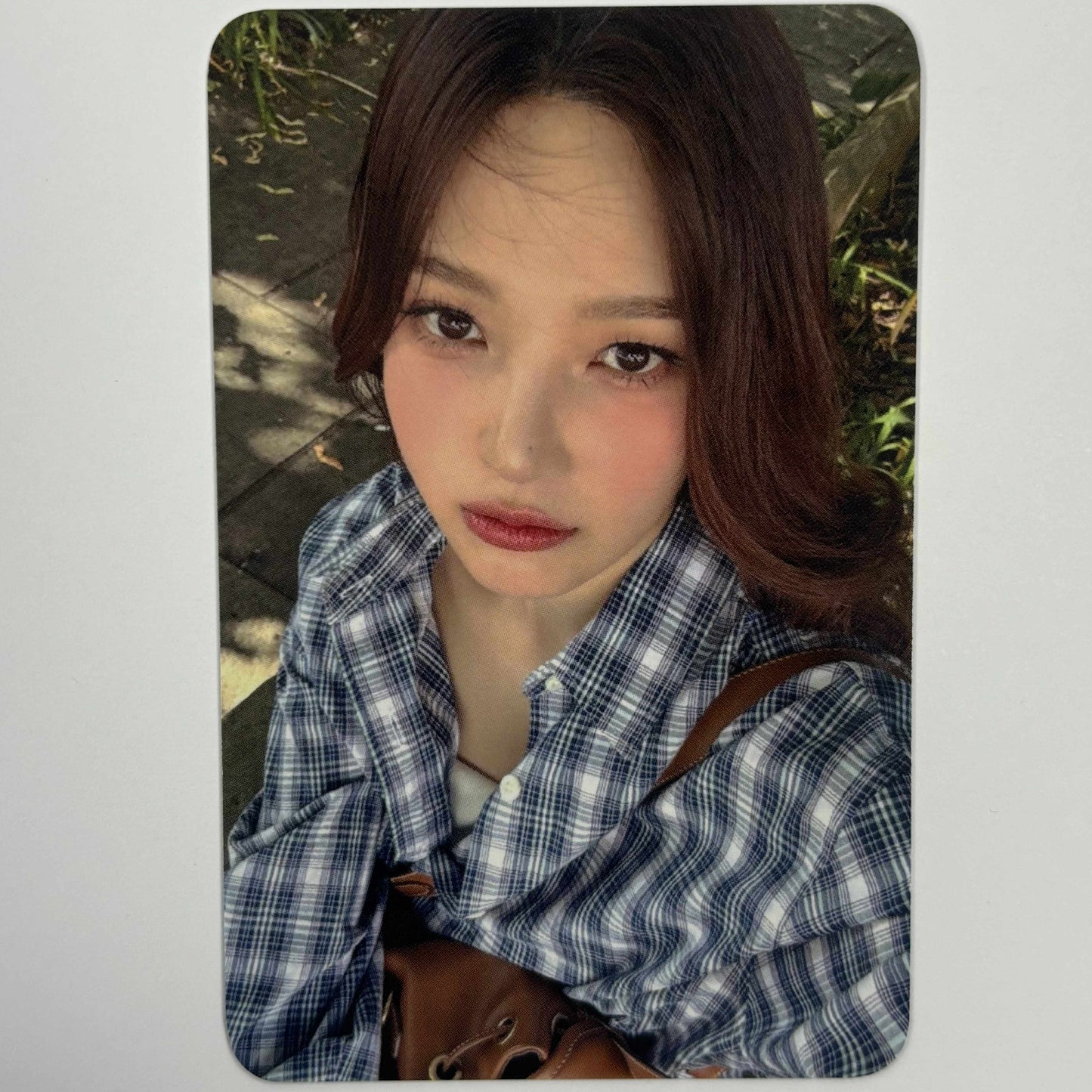 JOY - From JOY, with Love Everline Photocards