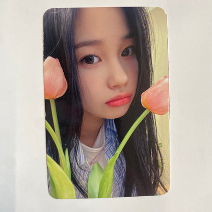 Weeekly - ColoRise Apple Music Lucky Draw Photocard