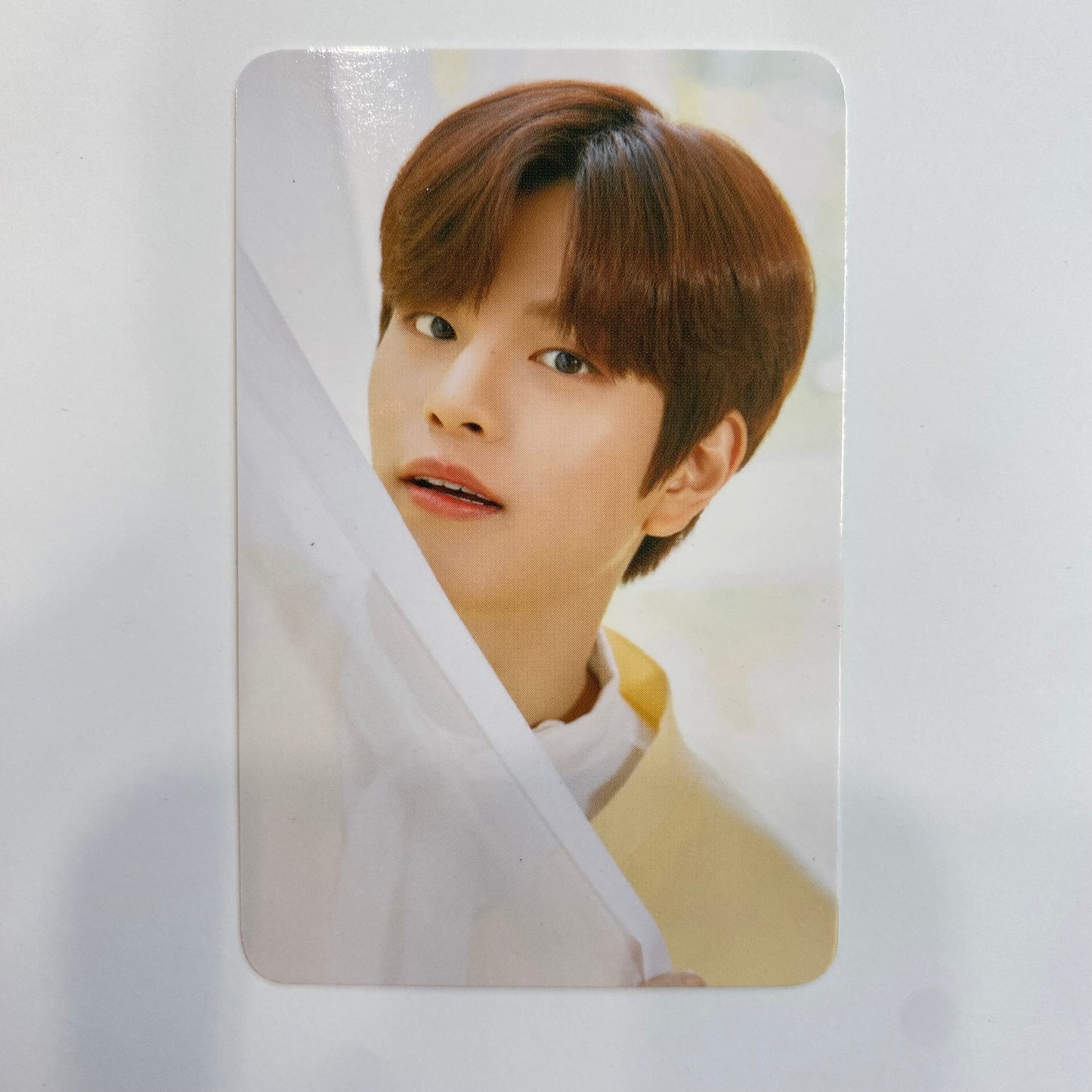 Stray Kids - Nacific Special Photocards