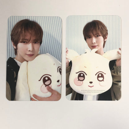 ATEEZ - ANITEEZ IN ICE CITY Plush Cushion Photocards