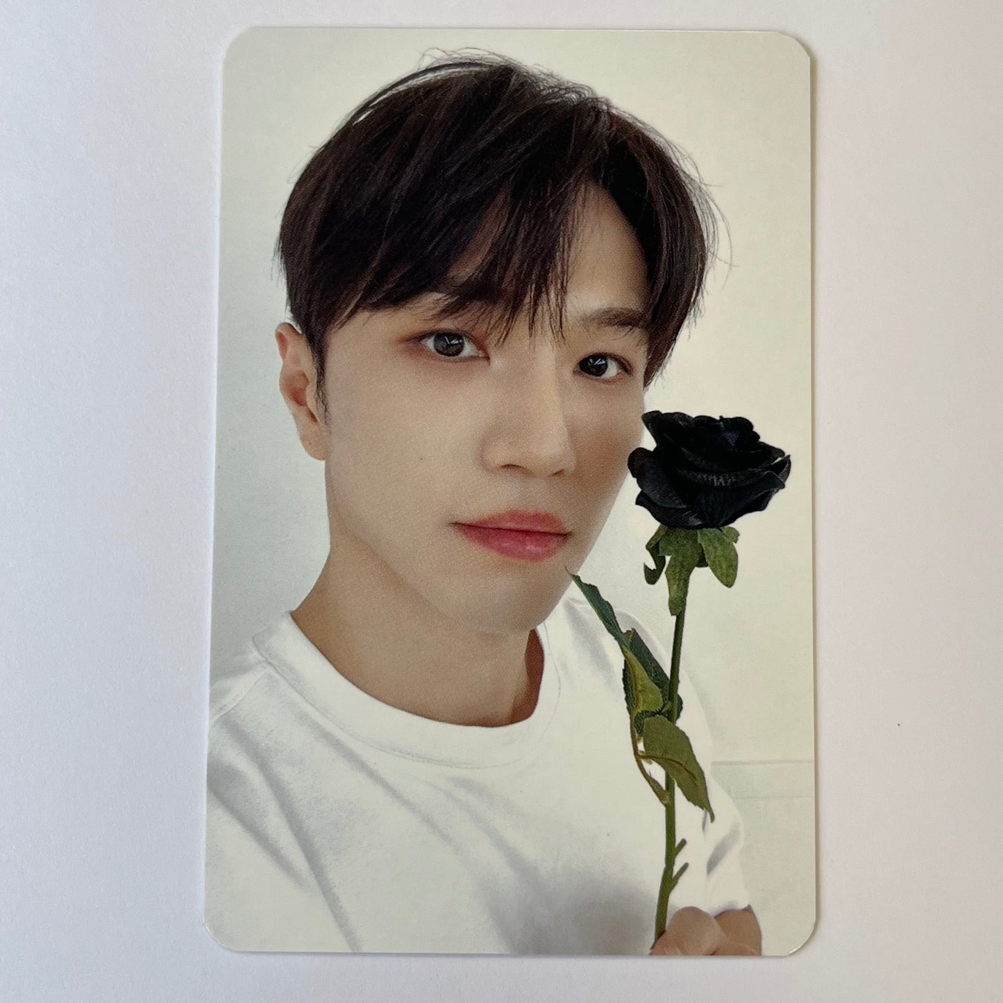 VANNER - BURN Makestar Photocard