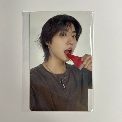 STRAY KIDS - THIS & THAT Fans Shop Photocards