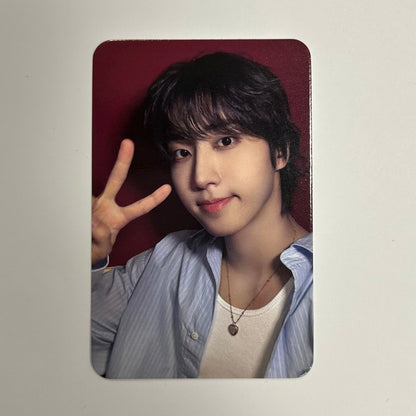 STRAY KIDS - THIS & THAT Dear My Muse Photocards