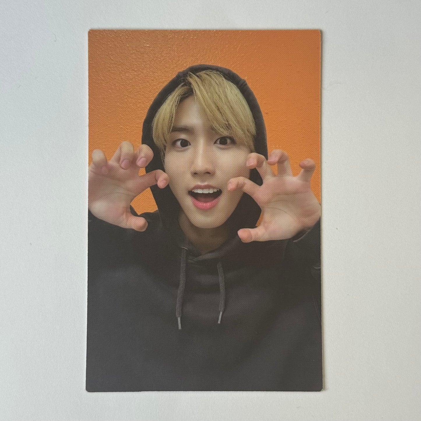 Stray Kids - Official Album Photocards (Han)