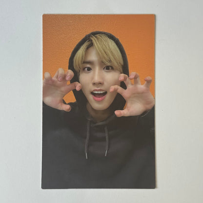Stray Kids - Official Album Photocards (Han)
