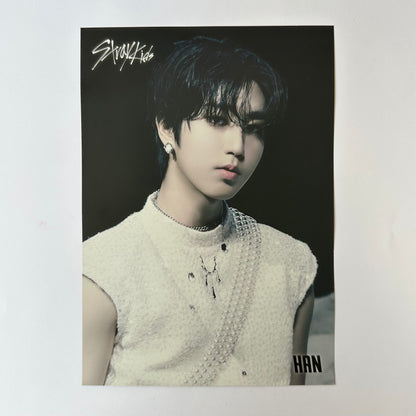Stray Kids - GIANT Mini Poster