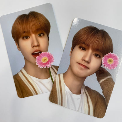 Stray Kids - Nacific Photocards