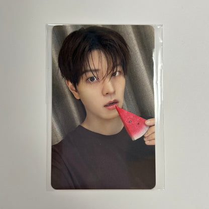 STRAY KIDS - THIS & THAT Fans Shop Photocards