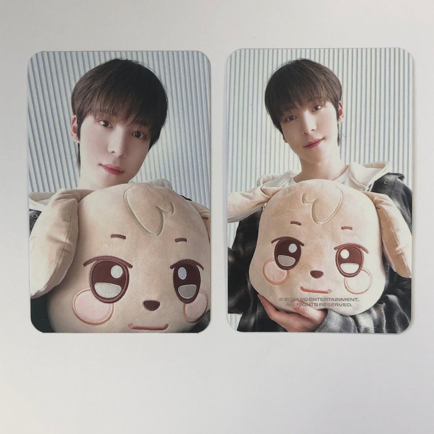 ATEEZ - ANITEEZ IN ICE CITY Plush Cushion Photocards
