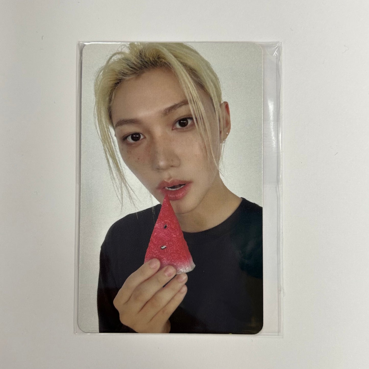 STRAY KIDS - THIS & THAT Fans Shop Photocards