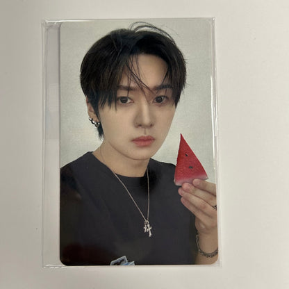STRAY KIDS - THIS & THAT Fans Shop Photocards