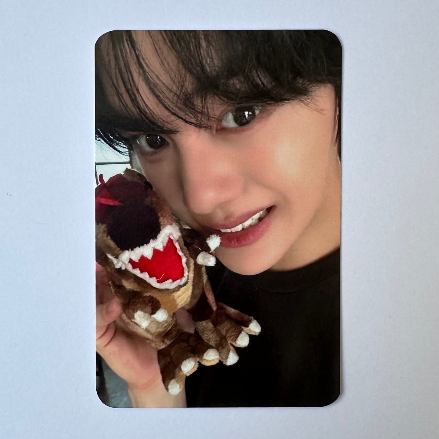 ZEROBASEONE - NEVER SAY NEVER (Photobook Ver.) Soundwave Photocards