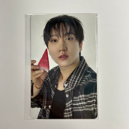 STRAY KIDS - THIS & THAT Fans Shop Photocards