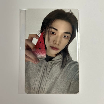 STRAY KIDS - THIS & THAT Fans Shop Photocards