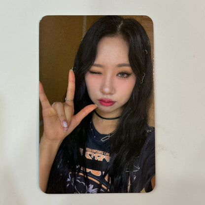 PURPLE KISS - GEEKYLAND Dear My Muse Photocard