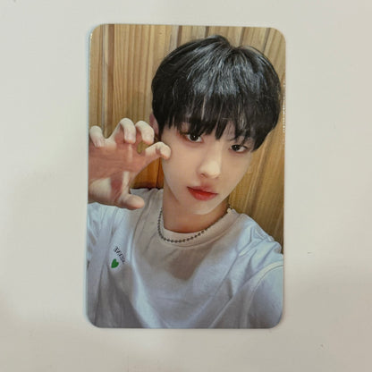 DRIPPIN - Seven Sins Dear My Muse Photocard