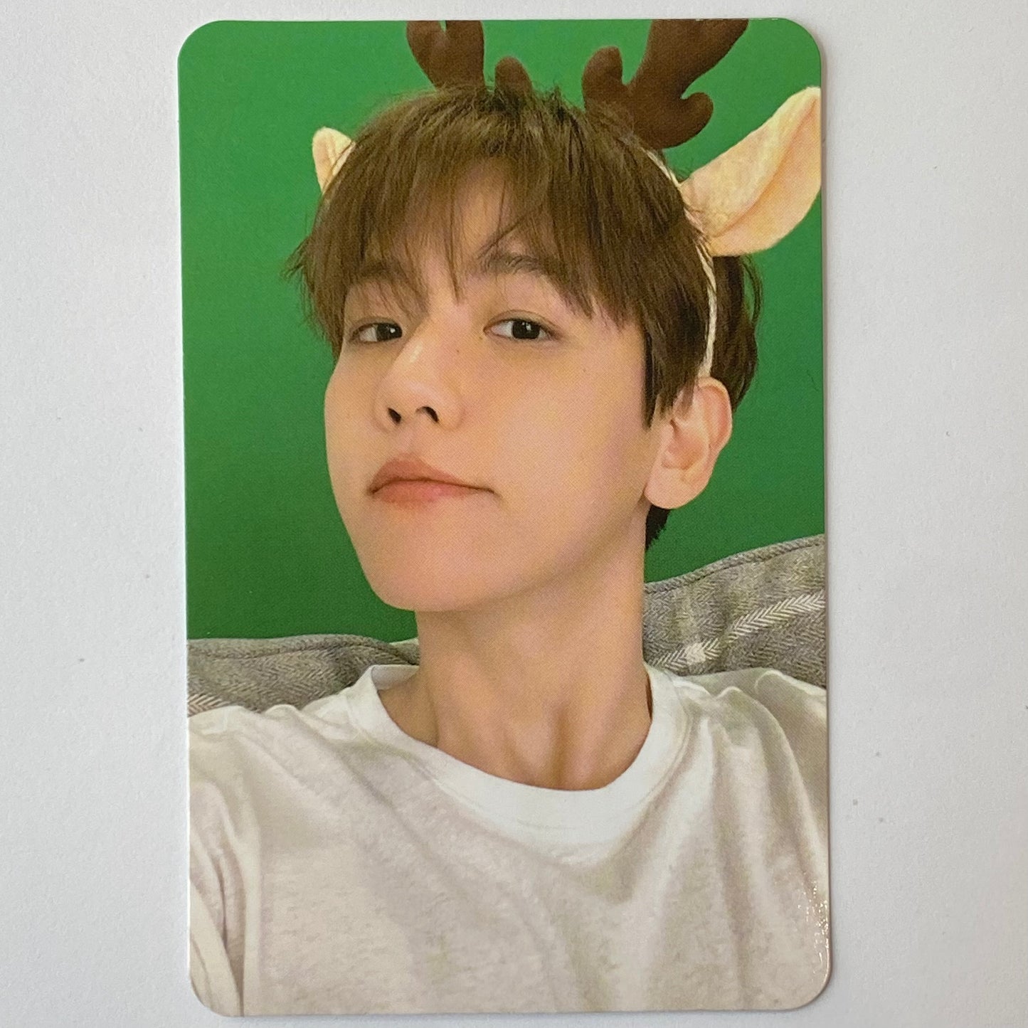 EXO - PINK CHRISTMAS 2023 PHOTOCARDS