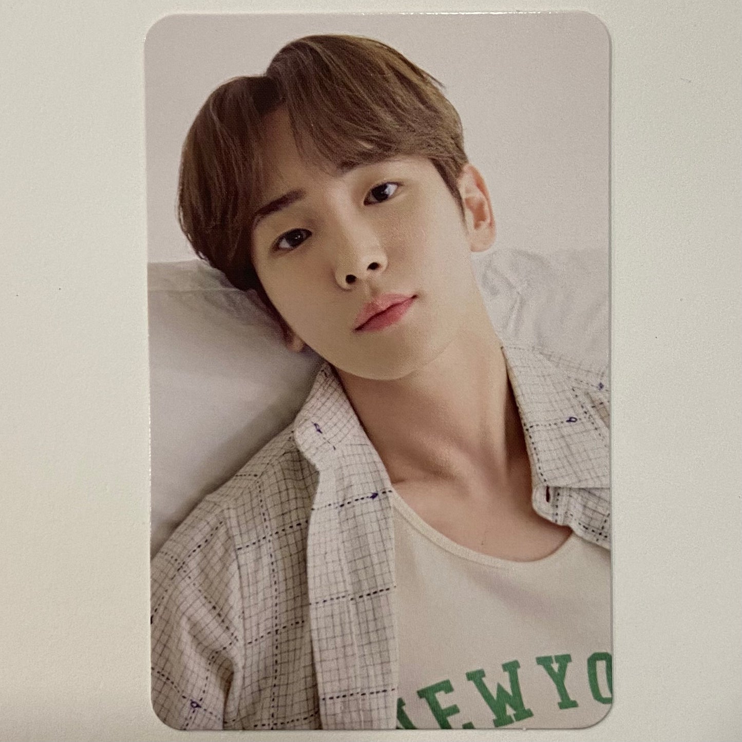 SHINEE - 2024 Season's Greetings Trading Cards