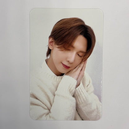 ATEEZ - ANITEEZ [IN DREAMLAND] Photocards