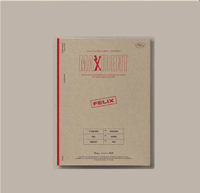 Stray Kids - MAXIDENT (Case File)