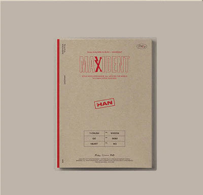 Stray Kids - MAXIDENT (Case File)