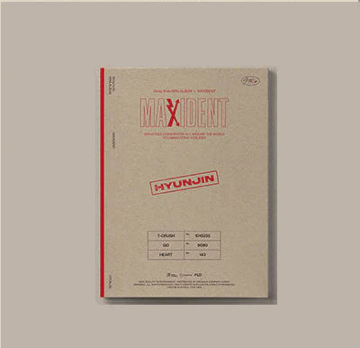 Stray Kids - MAXIDENT (Case File)