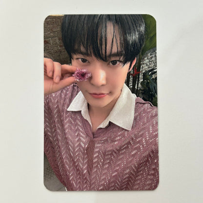 NCT DOJAEJUNG - Perfume Everline Lucky Draw Photocards