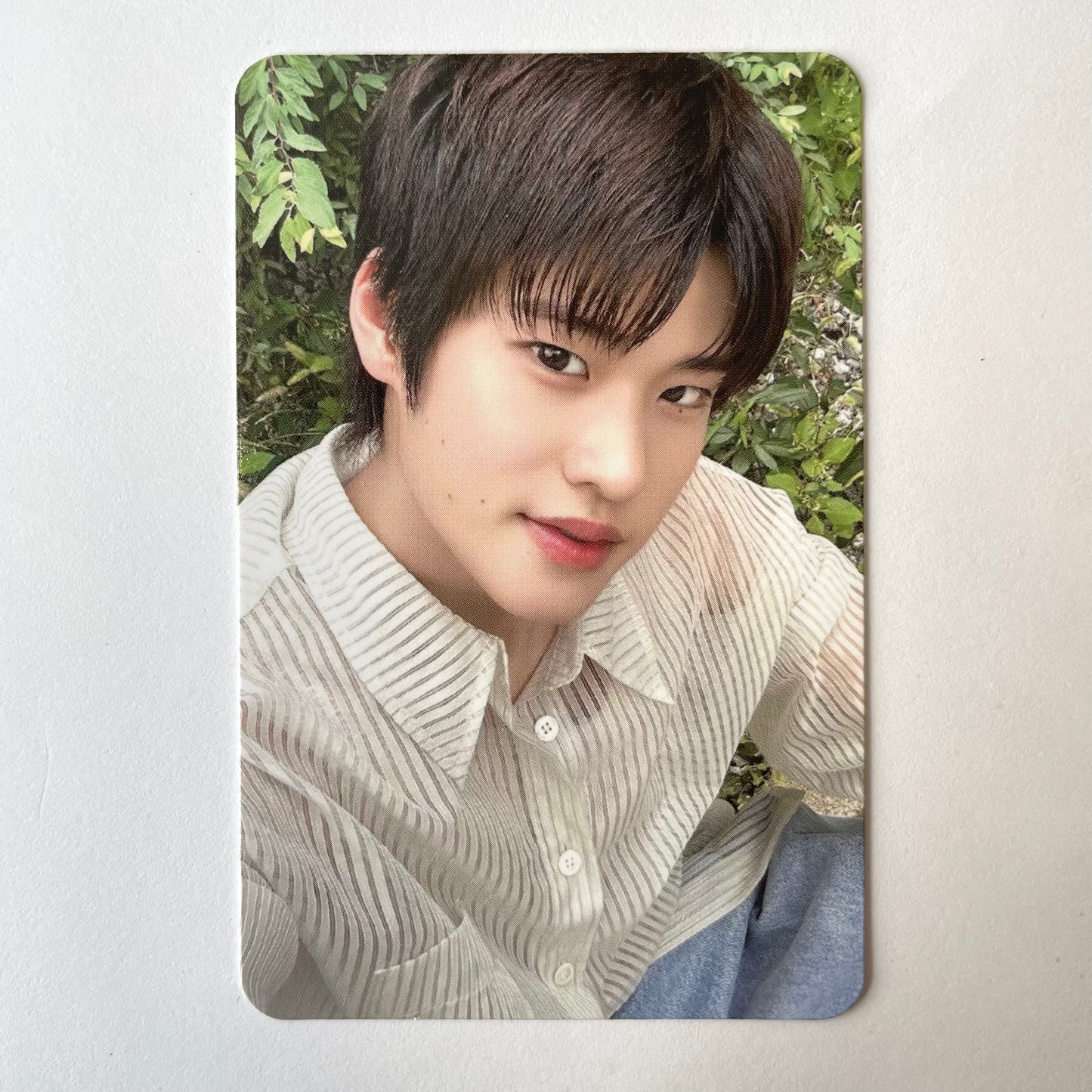 RIIZE - 2024 Season's Greetings Trading Cards