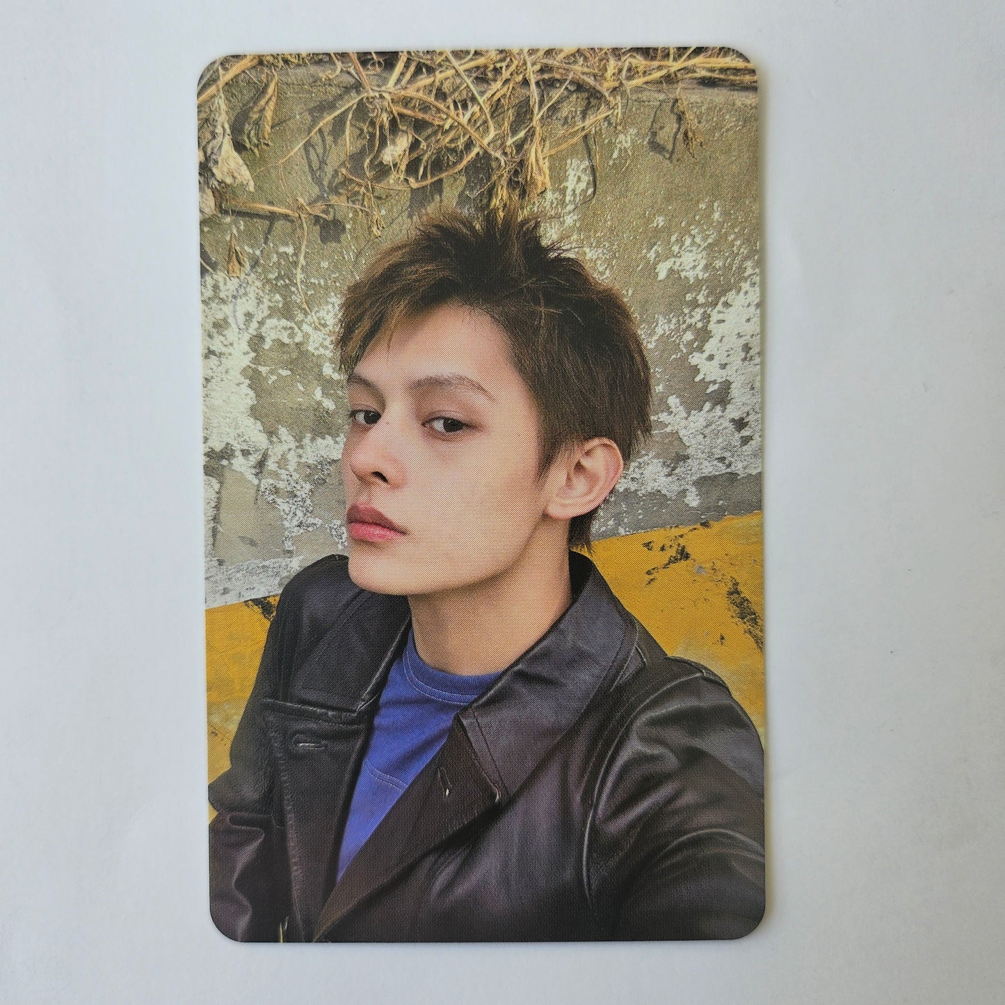 CORTIS - GREENGREEN Everline Lucky Draw Photocards
