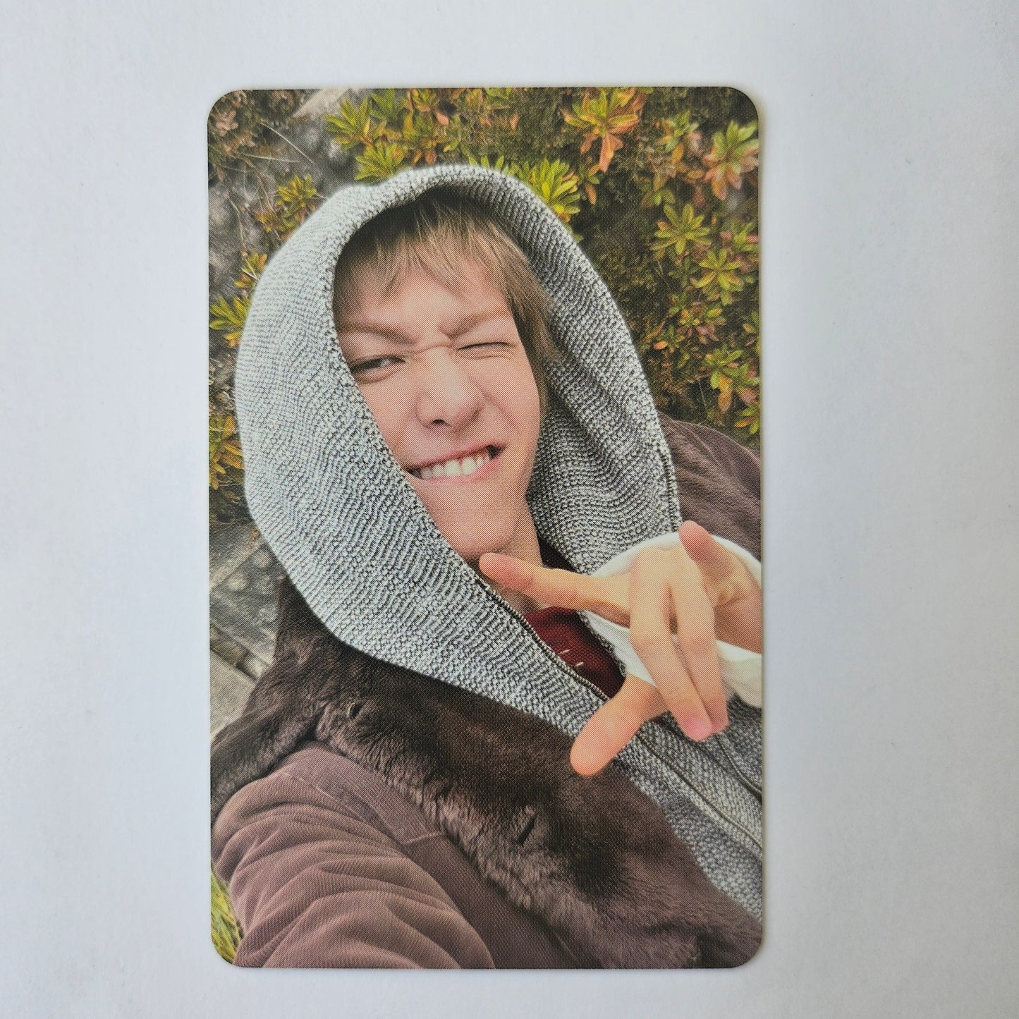 CORTIS - GREENGREEN Everline Lucky Draw Photocards